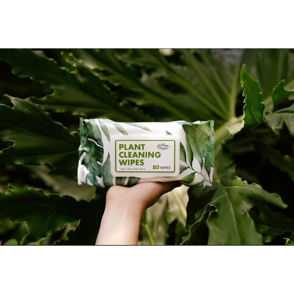 Houseplant Cleaning Wipes