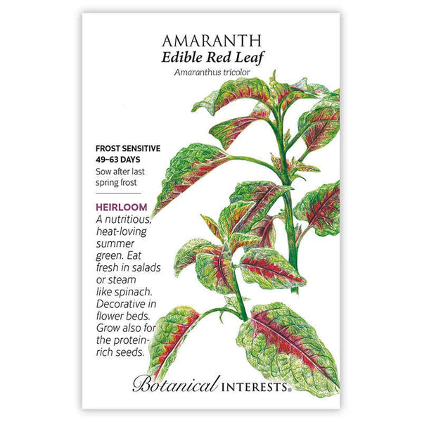 Amaranth seeds, "Edible Red Leaf"