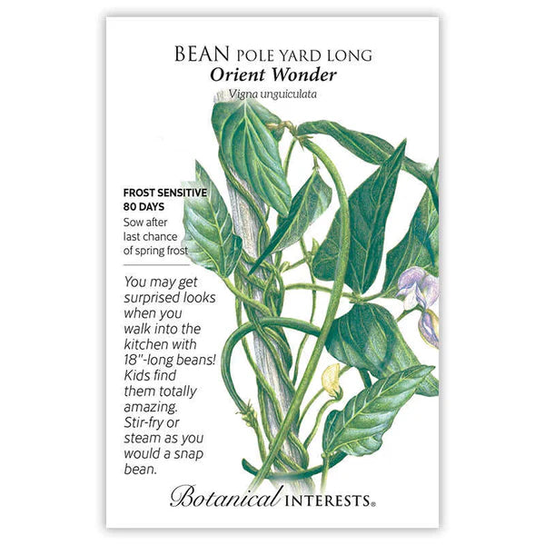 Bean Pole seeds, "Yardlong Oriental Wonder"