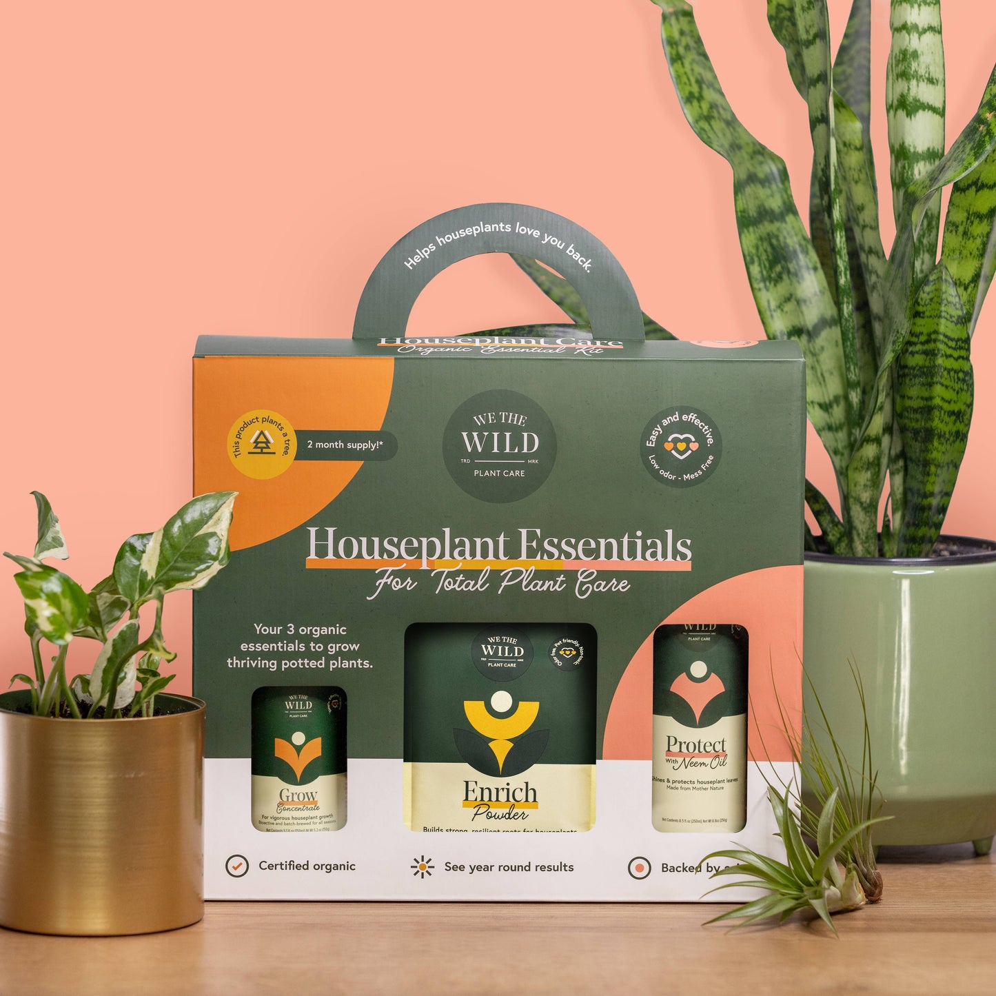 Houseplant Care Essential Kit