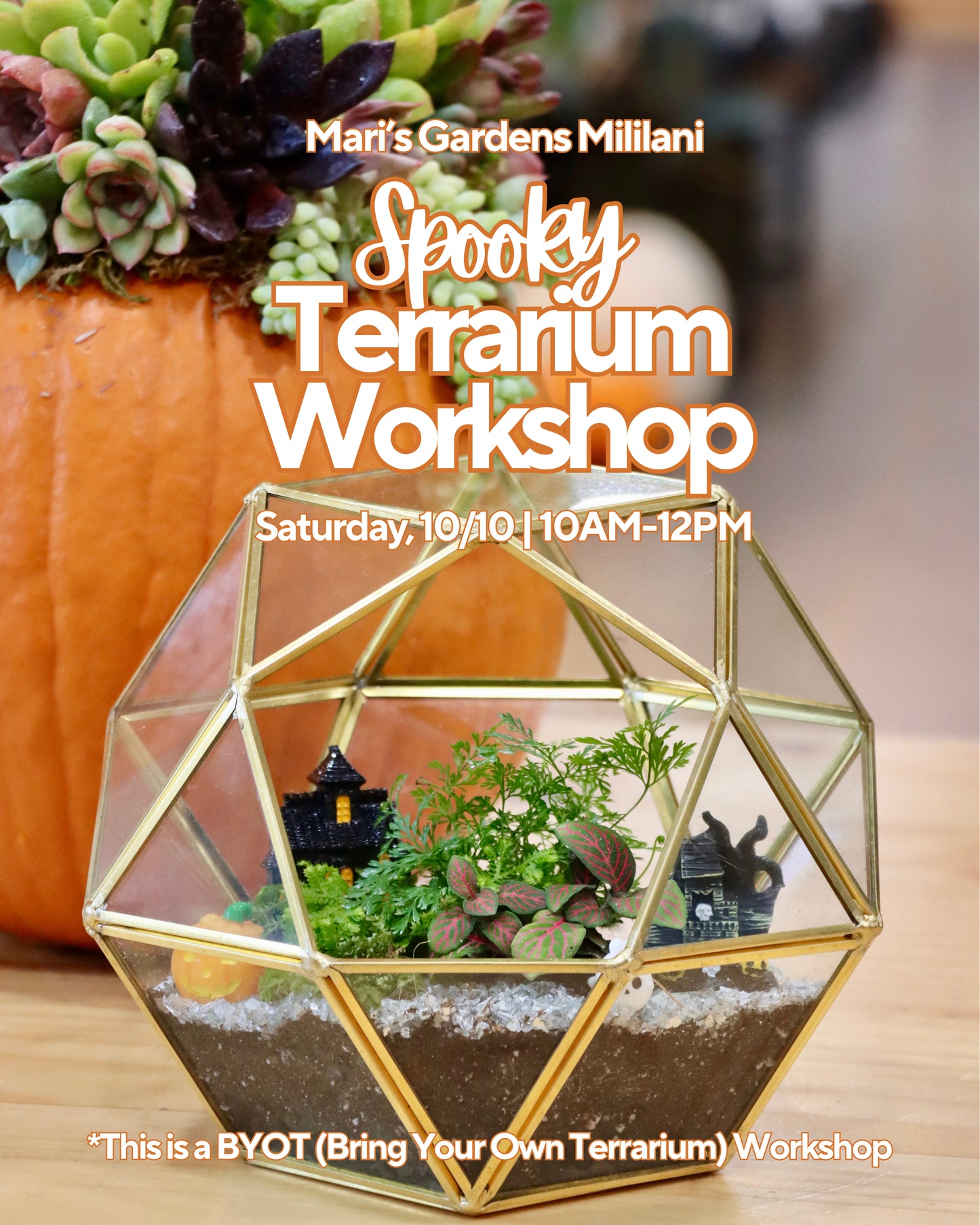 10/10 Spooky BYOT (Bring Your Own Terrarium) Workshop (Mililani)