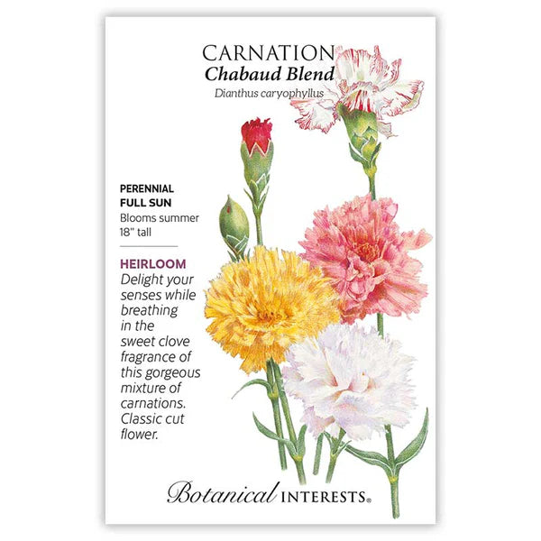 Carnation seeds, "Chabaud Blend"