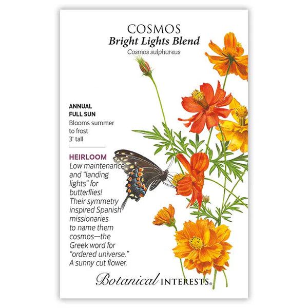 Cosmos seeds (Bright Lights Blend)