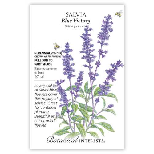 Salvia seeds, "Blue Victory"