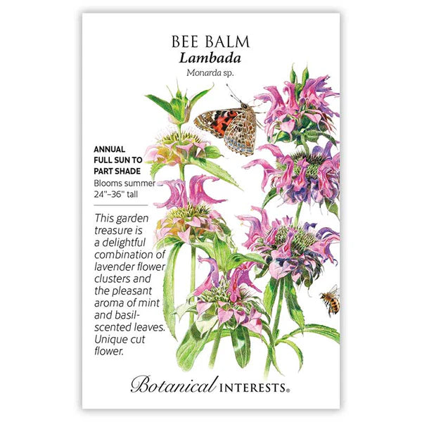 Bee Balm seeds, "Lambada"