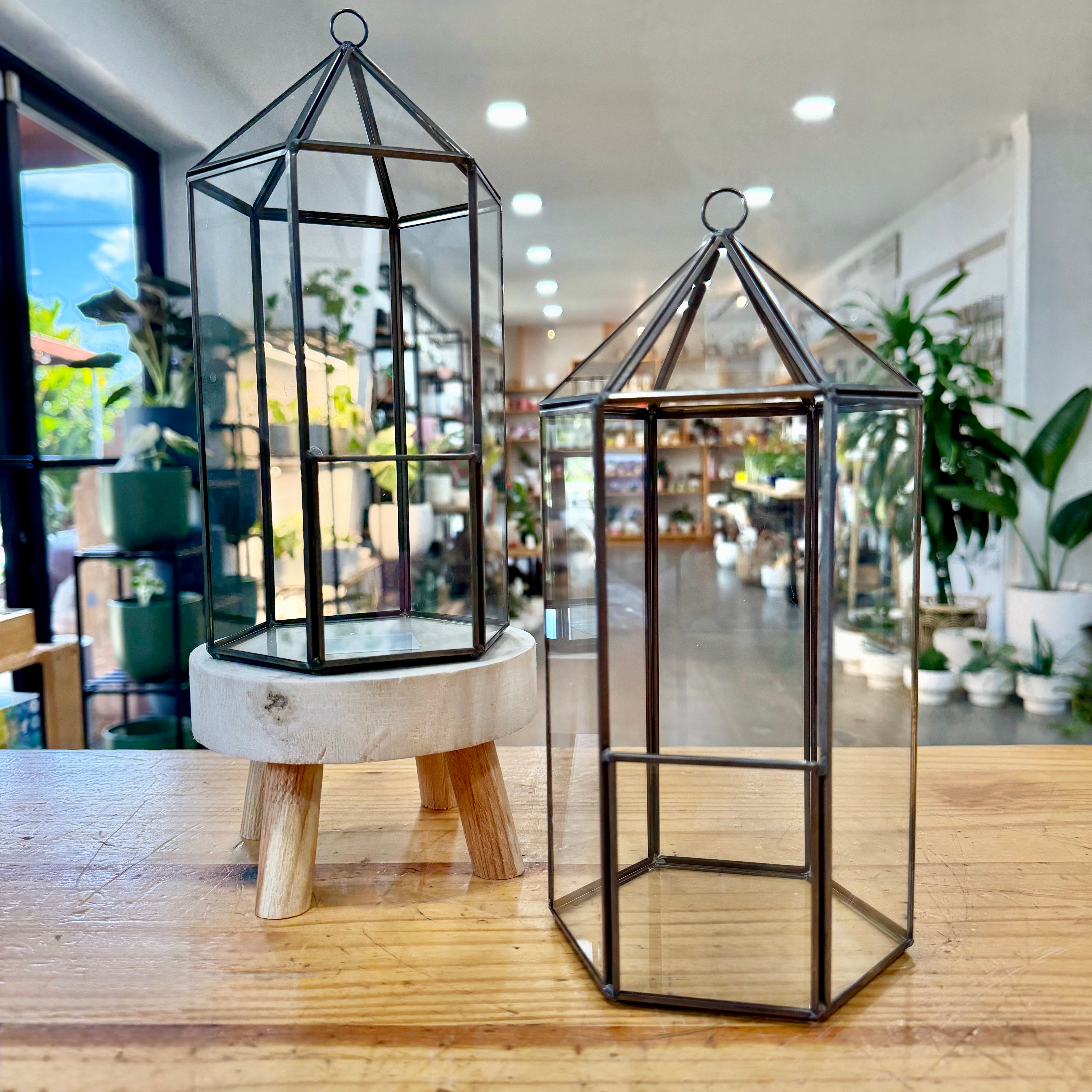 maris succulents and garden accessories Terrariums Igloo Ornament/Hanging