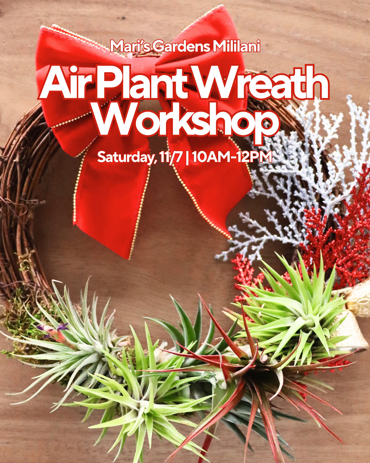 11/7 Air Plant Wreath Workshop (Mililani)