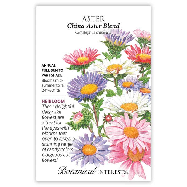 Aster seeds, "China Blend"