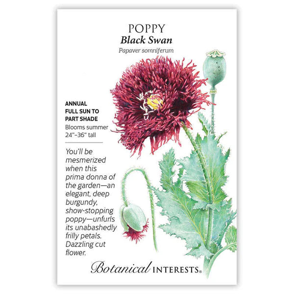 Poppy seeds, "Bread Black Swan"