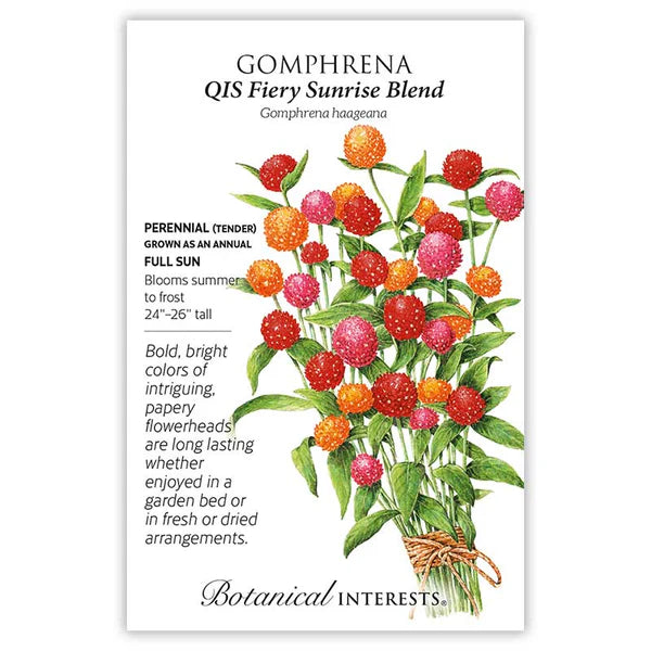 Gomphrena seeds, "QIS Fiery Sunrise Blend"