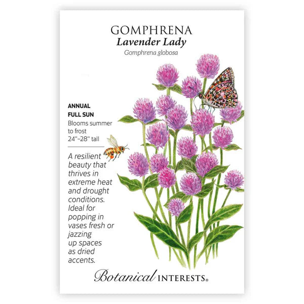 Gomphrena seeds, "Lavender Lady"