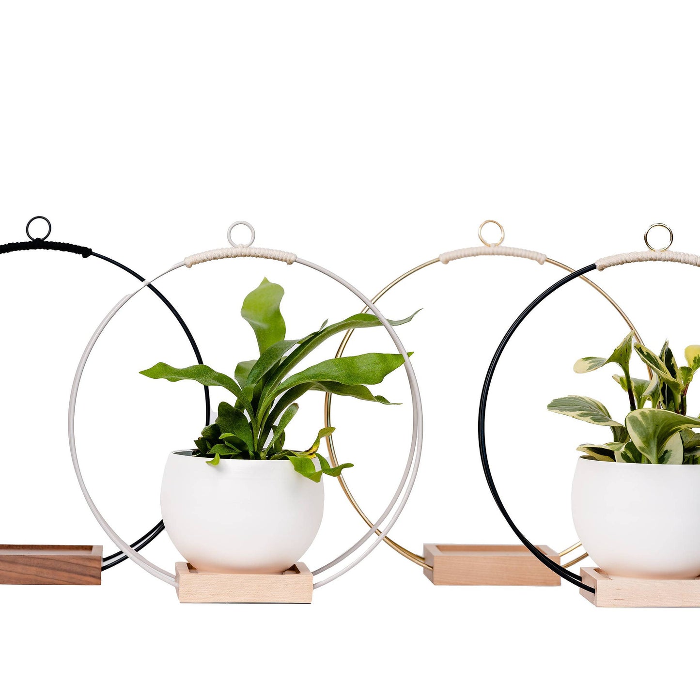 Braid & Wood Plant Hanger