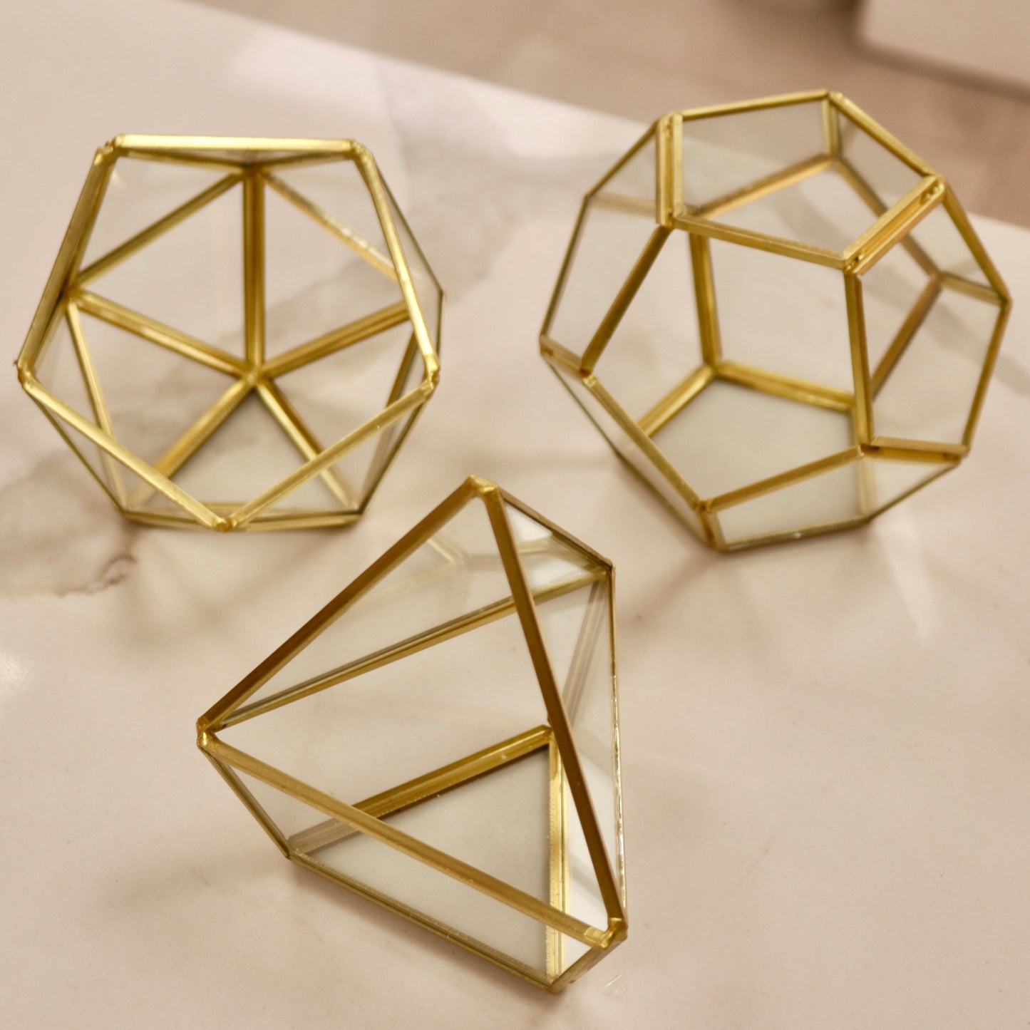 Geometric Glass Terrarium