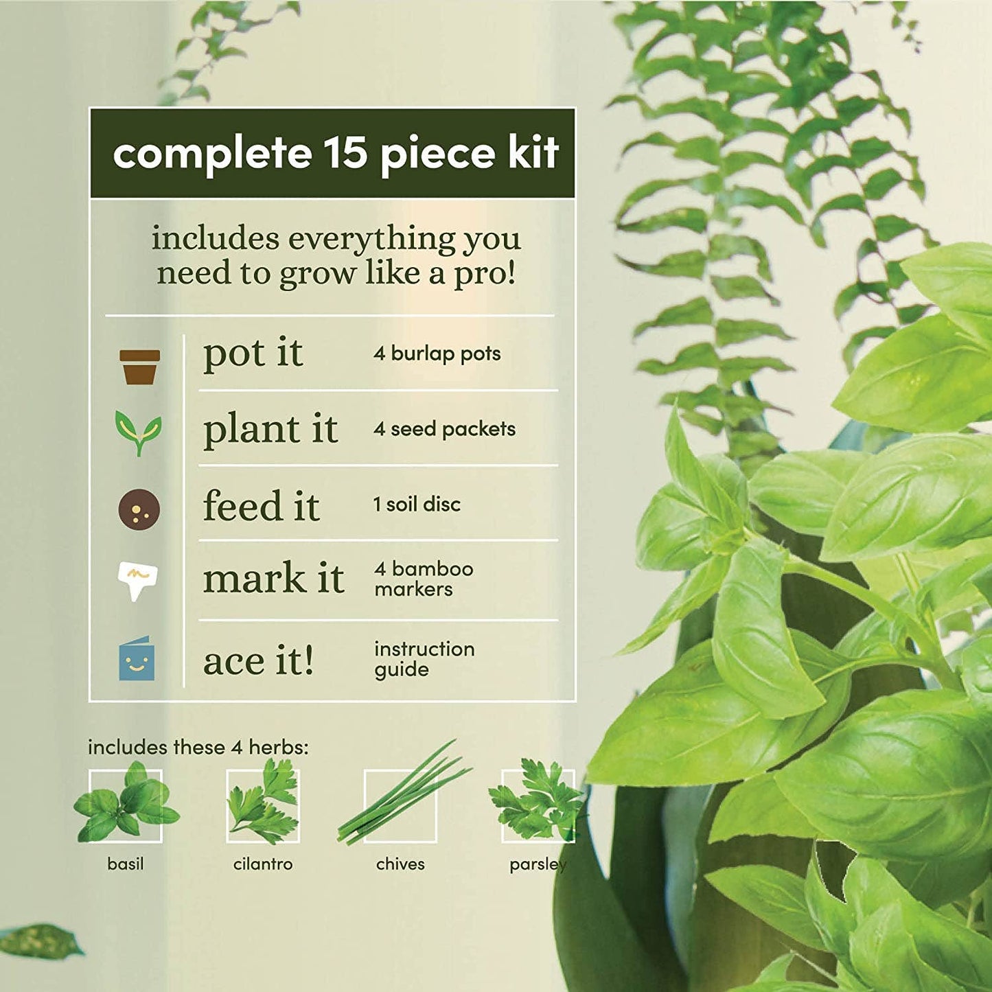 Herb Growing Kit