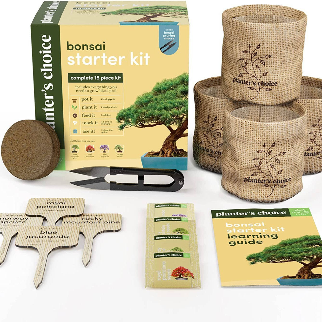Bonsai Starter Kit