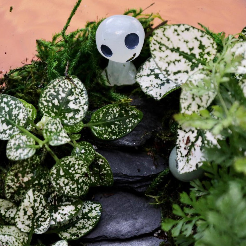 BYOT (Bring your own Terrarium) Workshop