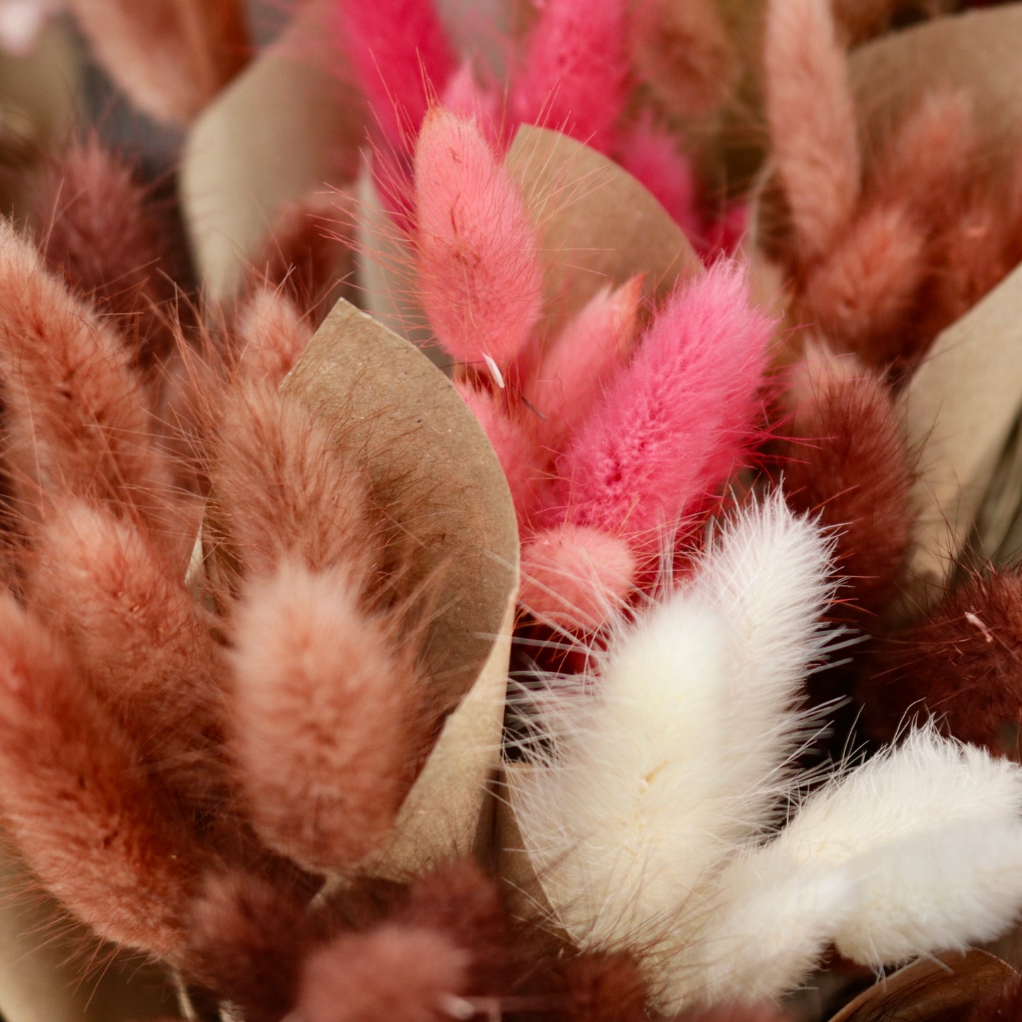 MUG Dried Flower Mini Bundles