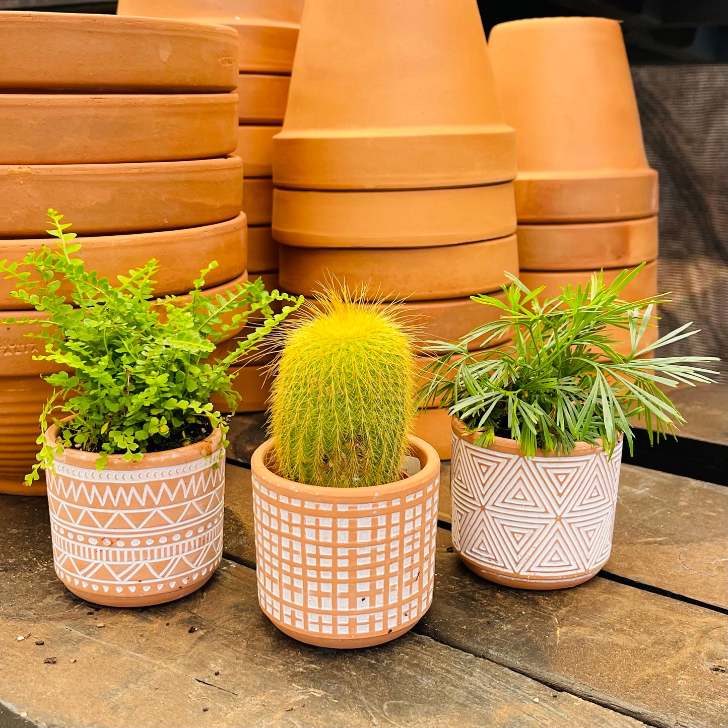 2" Terracotta Planter