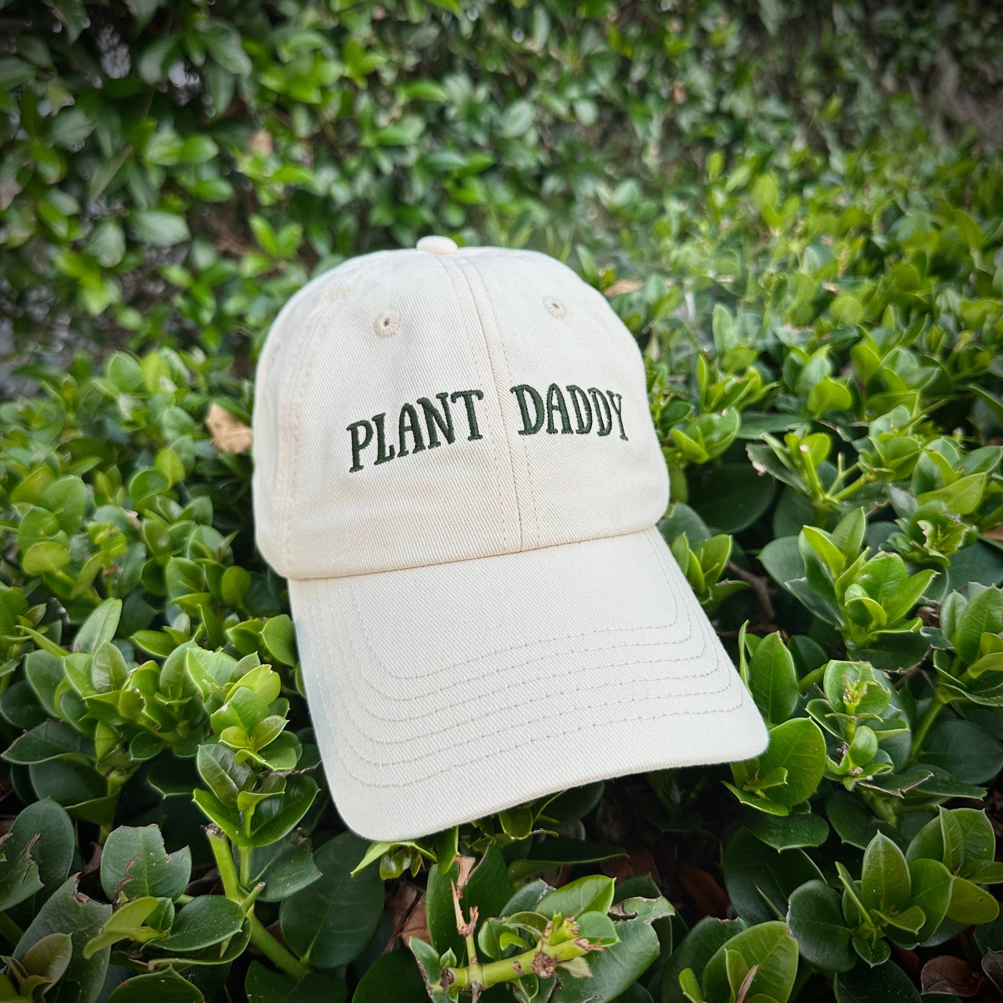 Plant Daddy Hat