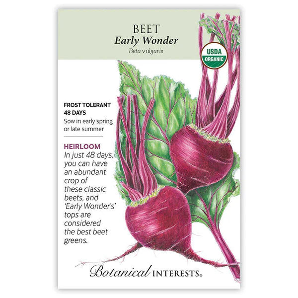 Beets seeds, "Early Wonder Red"