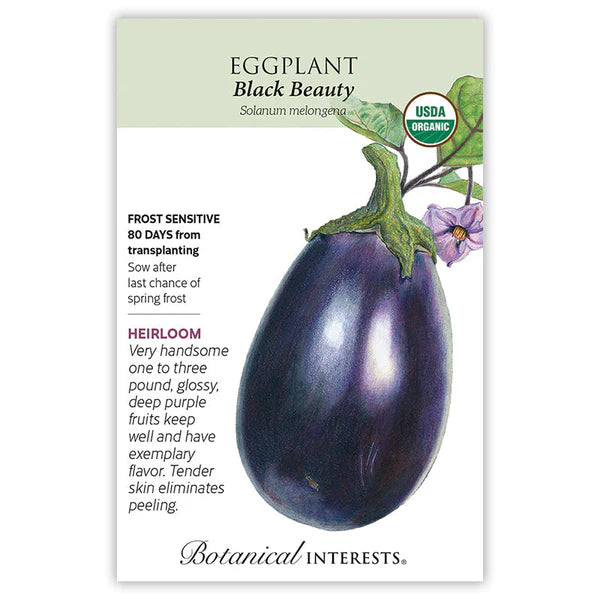 Eggplant seeds, "Black Beauty"