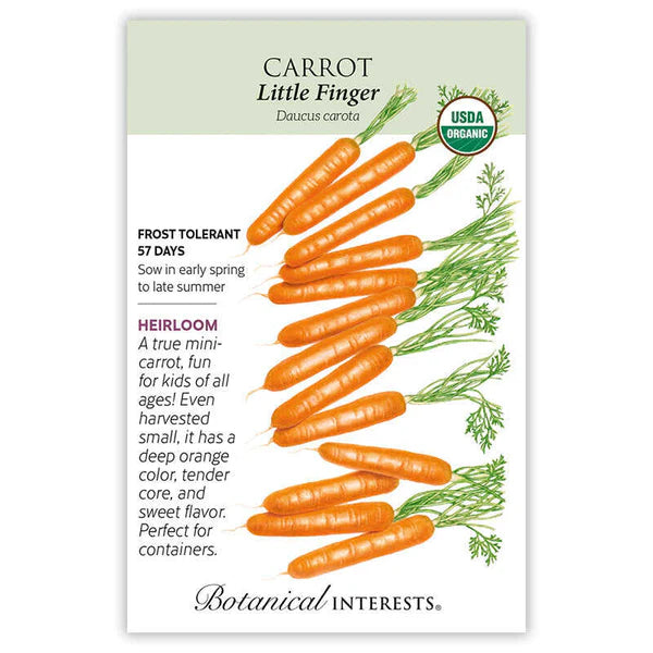 Carrot seeds, "Little Finger"
