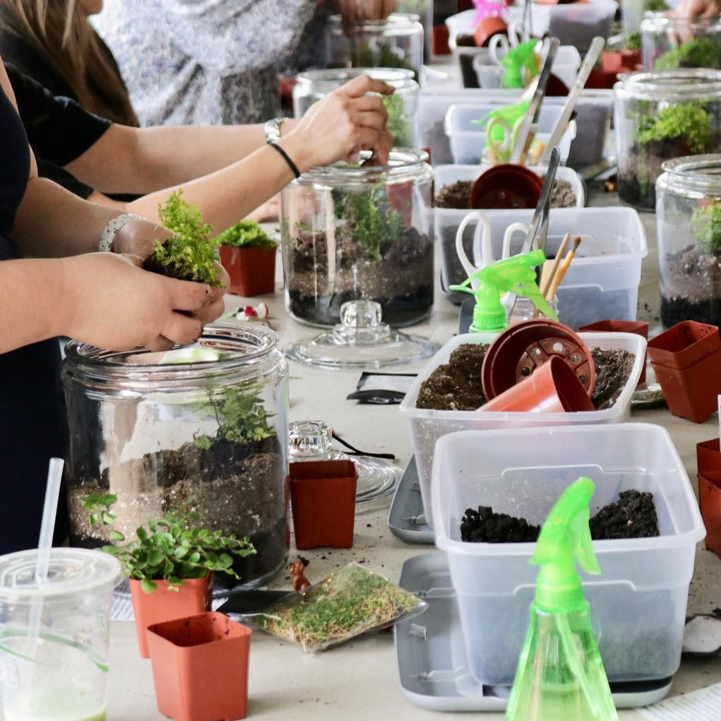 BYOT (Bring your own Terrarium) Workshop