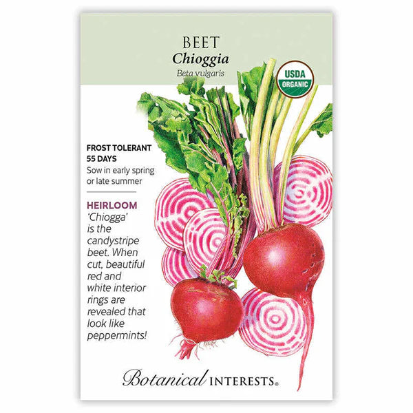 Beets seeds, "Striped Chioggia"