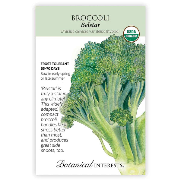 Broccoli seeds, "Belstar Hybrid"
