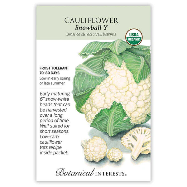 Cauliflower seeds, "Snowball"