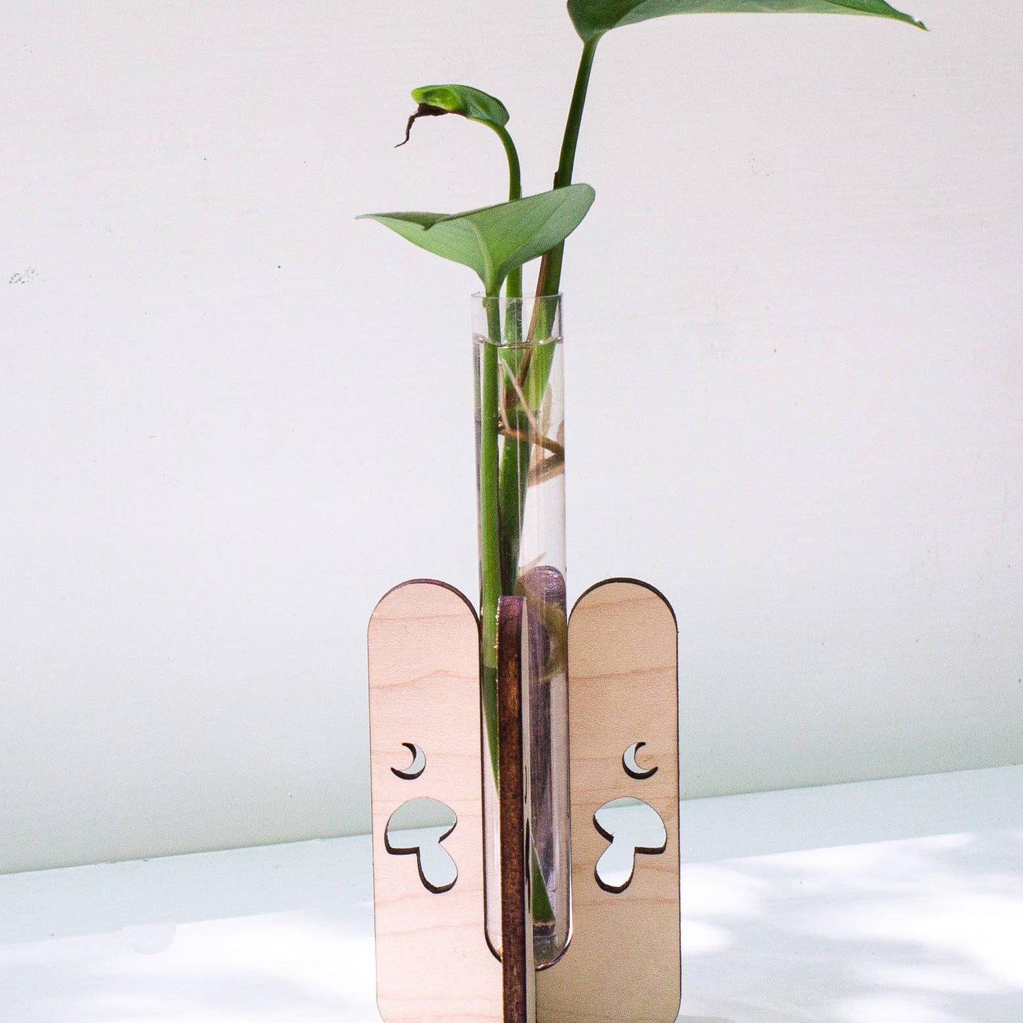 Mushroom Tabletop Propagation Station