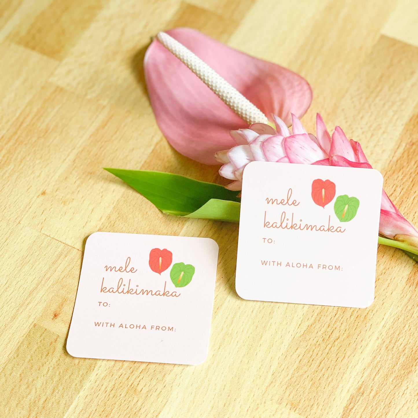 Anthurium Gift Tag Set