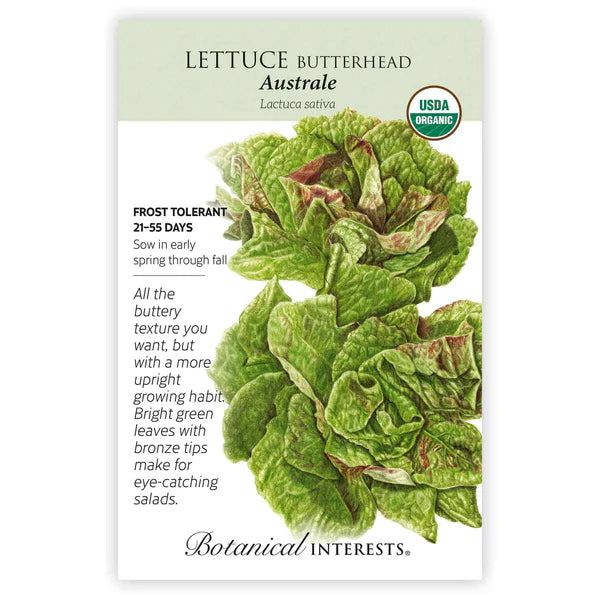 Lettuce seeds, "Butterhead Australe"