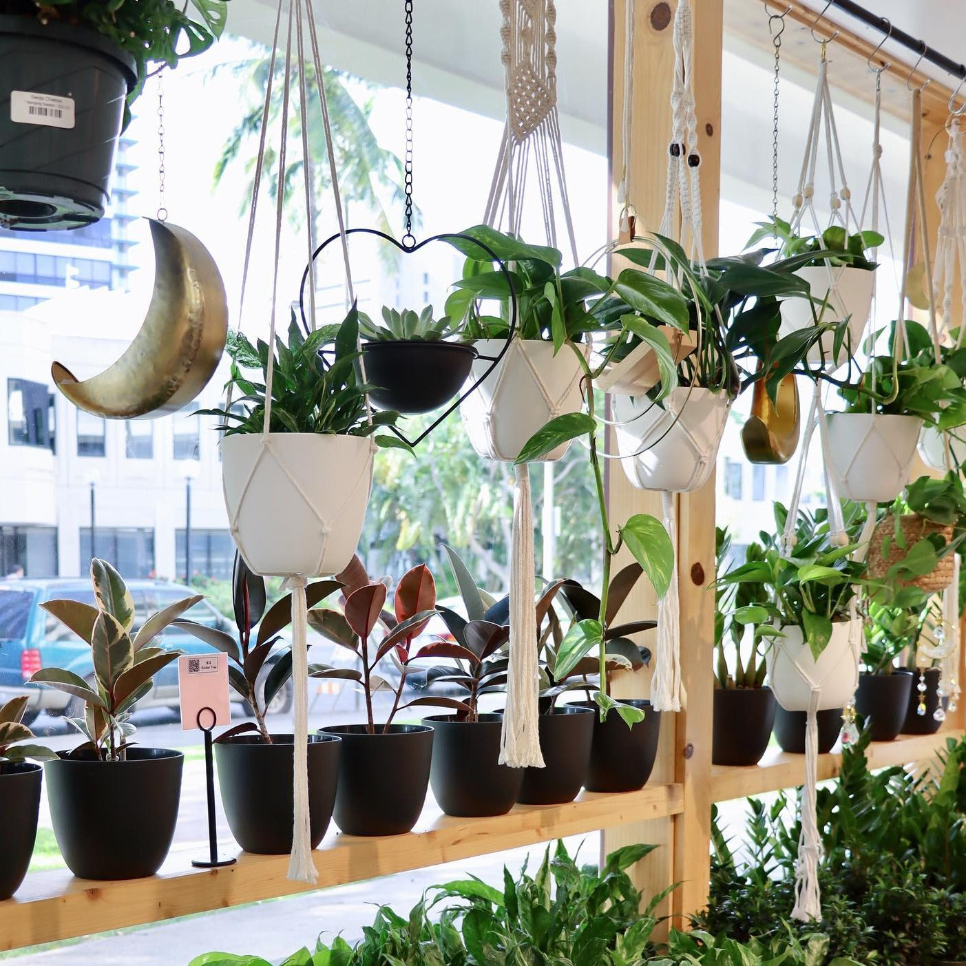 Macrame Hanging Baskets