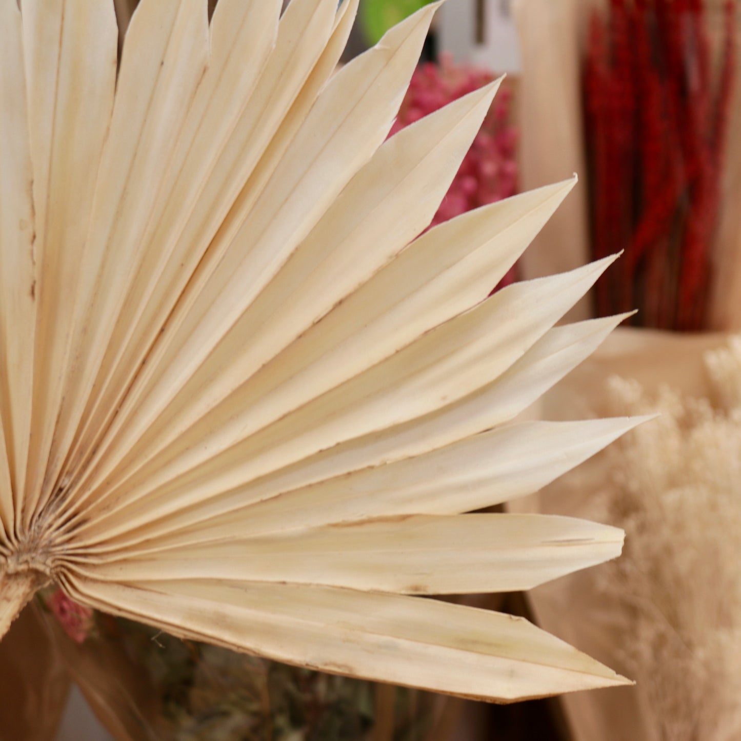 MUG Dried Flower Mini Bundles