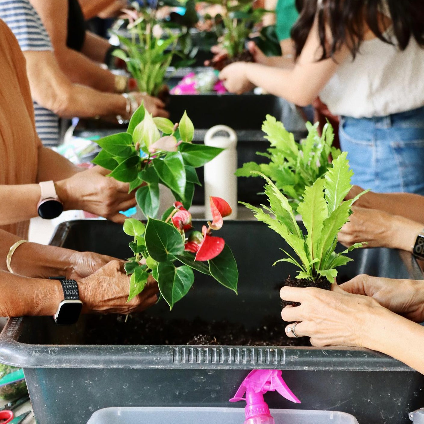 Kokedama Workshop