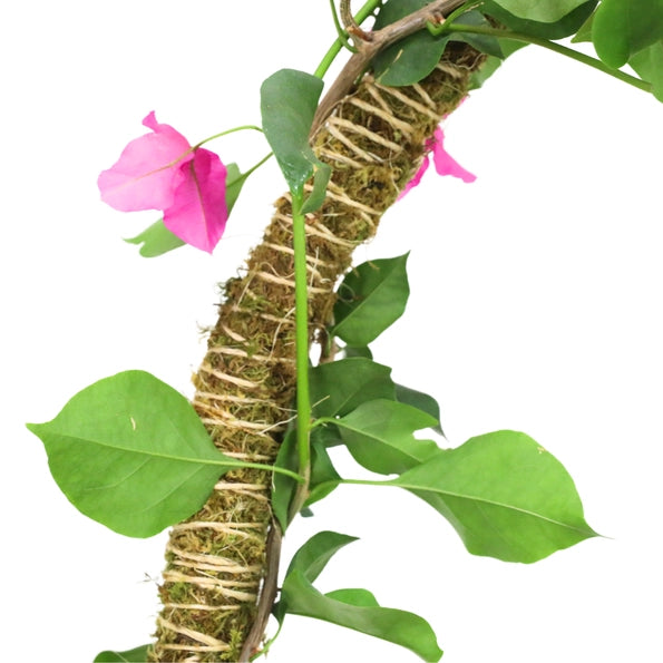 Mossify Bendable Moss Pole