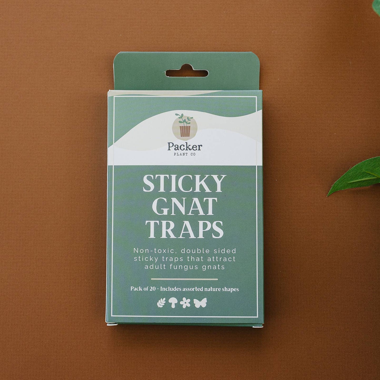 Sticky Gnat Traps (Box)
