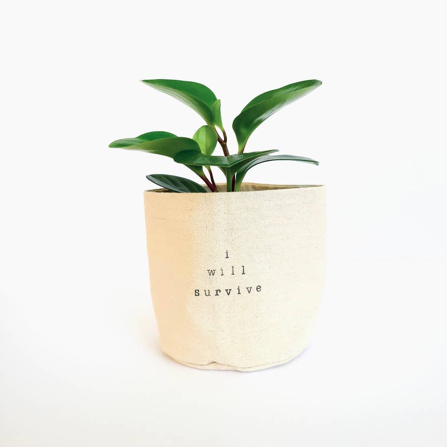 i will survive plant pot I will survive Canvas Plant Pot Cover