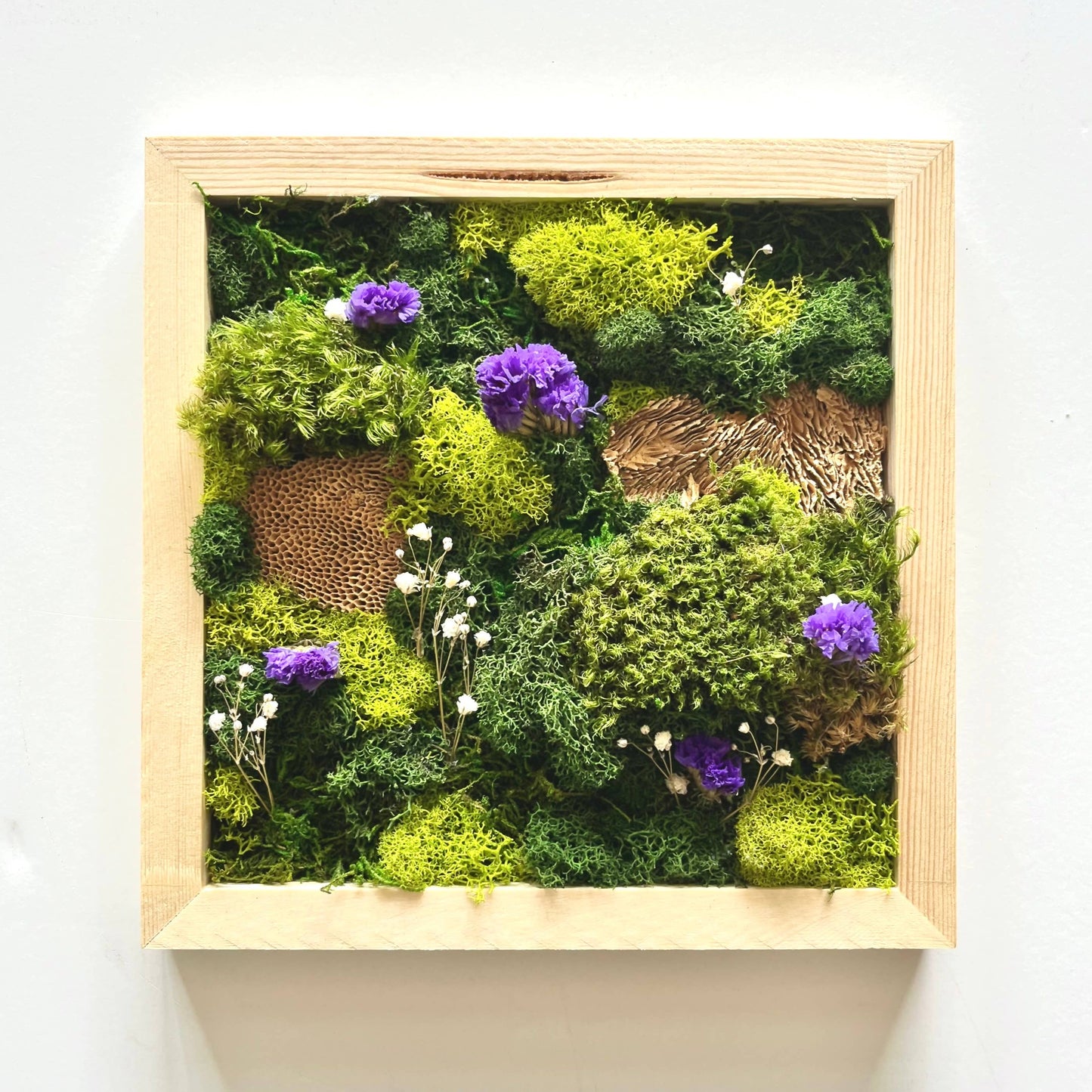 Moss Wall Art