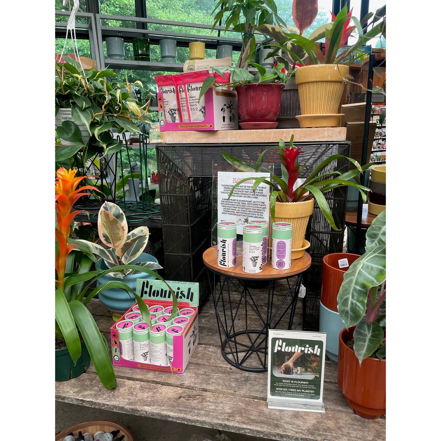 Organic Plant Food