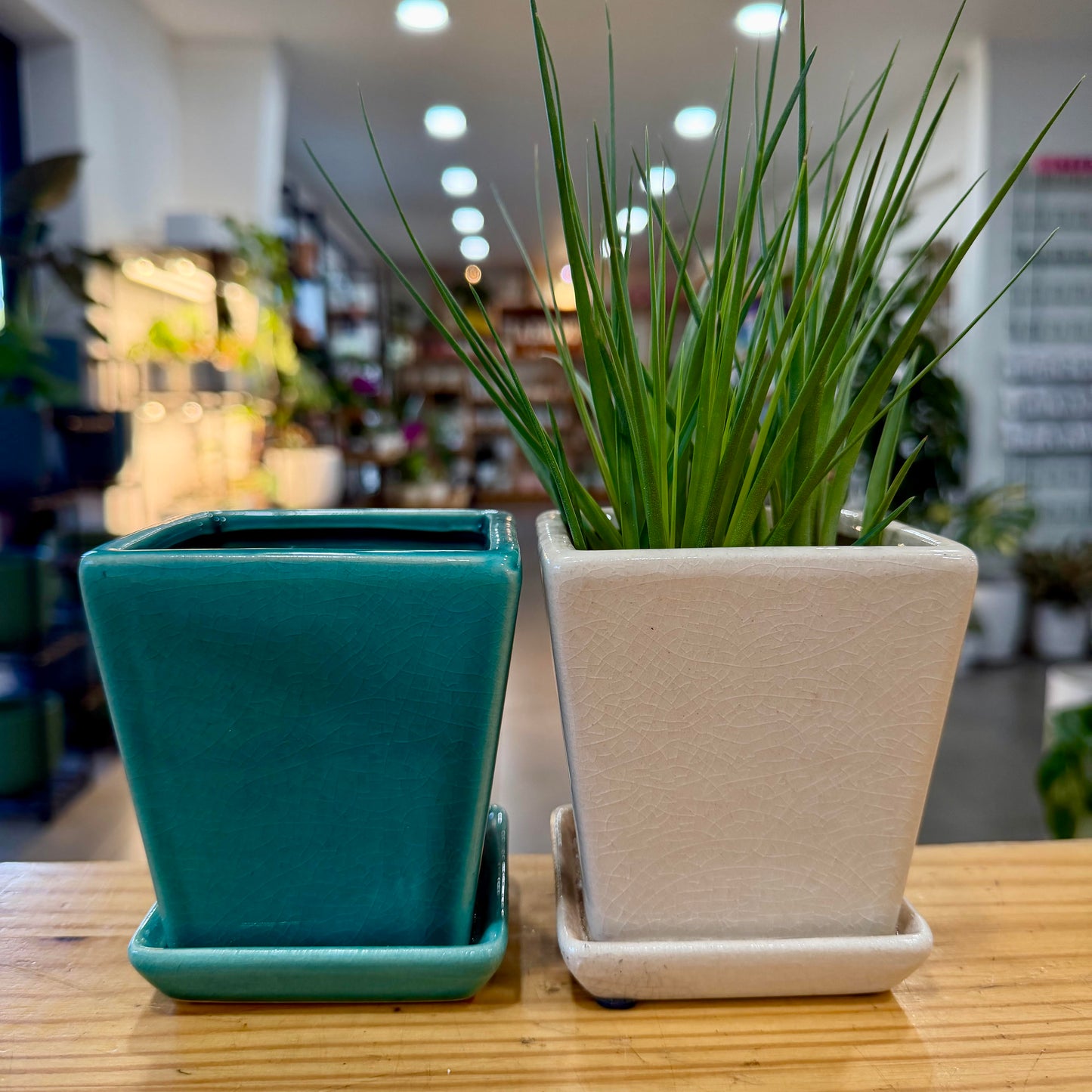3" Jenner Planter