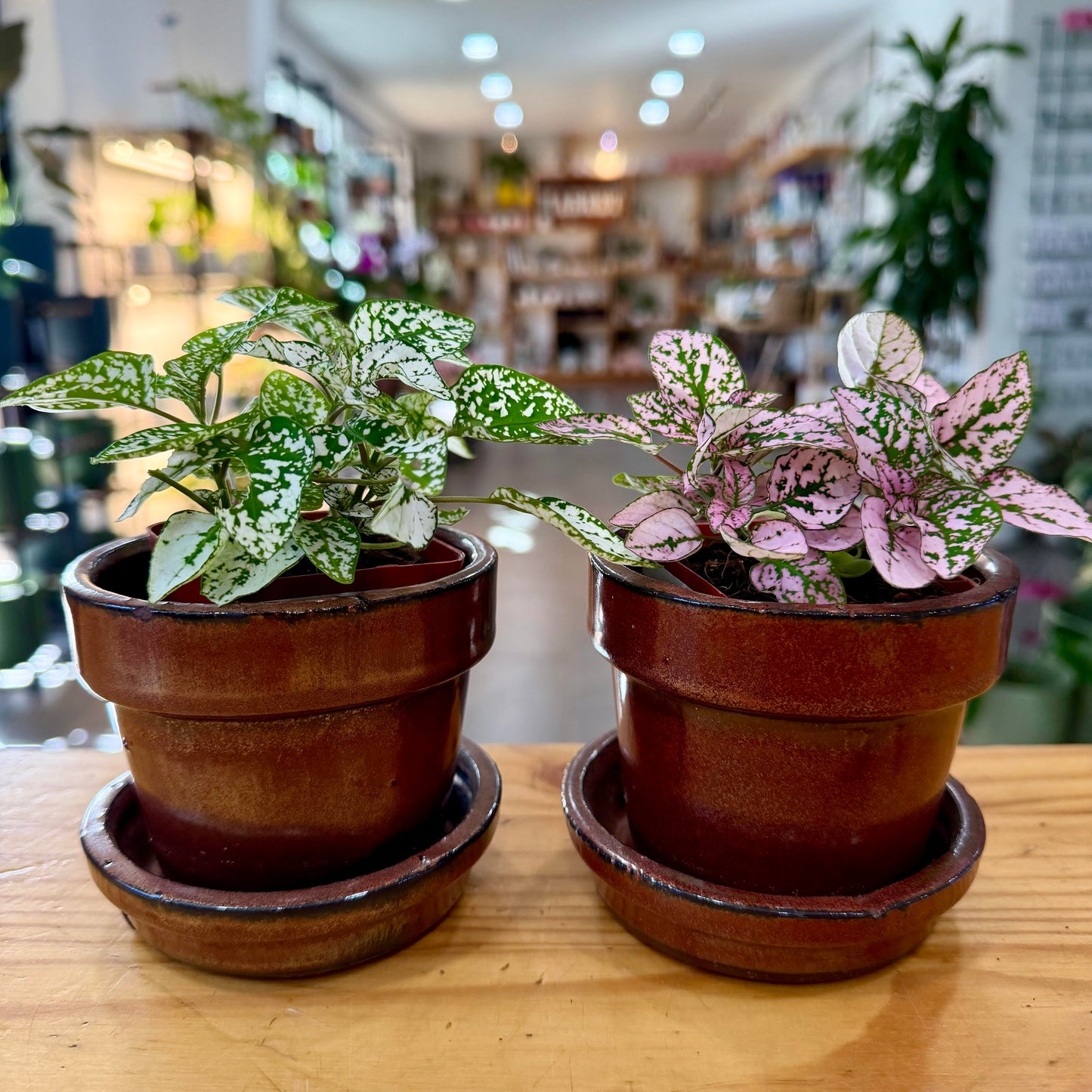 3" Glazed Pot