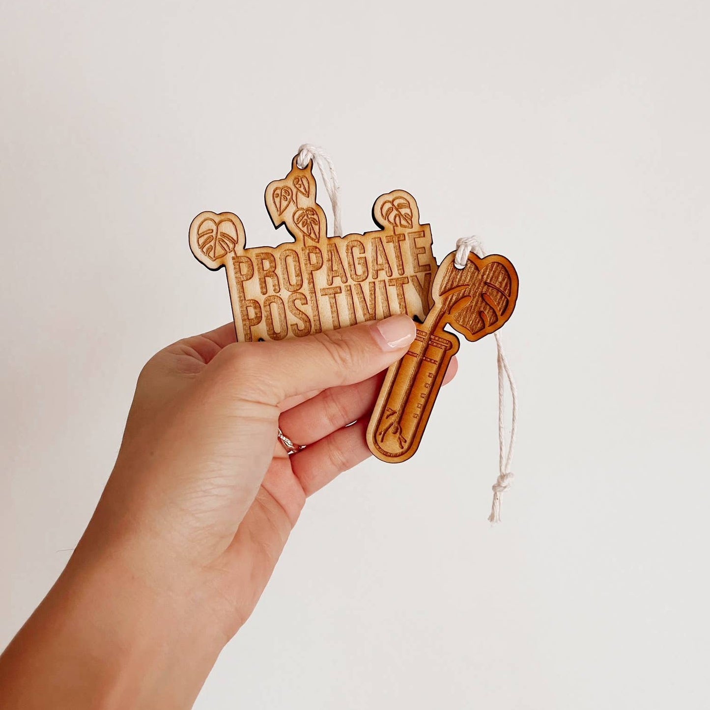 Wooden Plant Ornament Diffusers