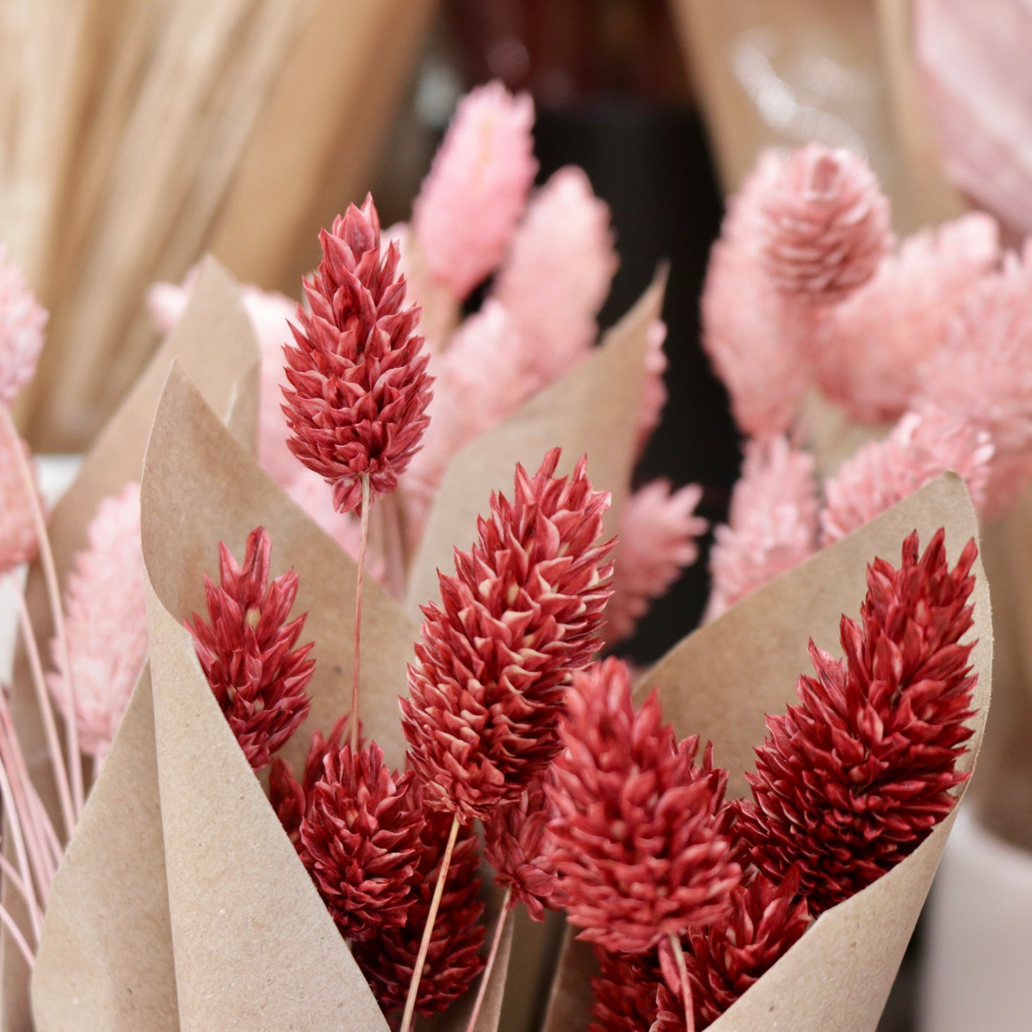 MUG Dried Flower Mini Bundles