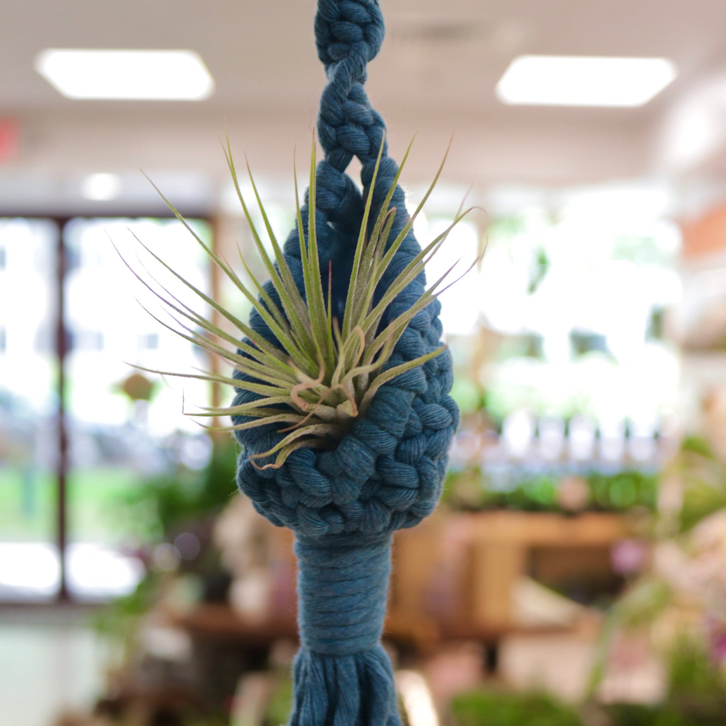 Macrame Air Plant Pod