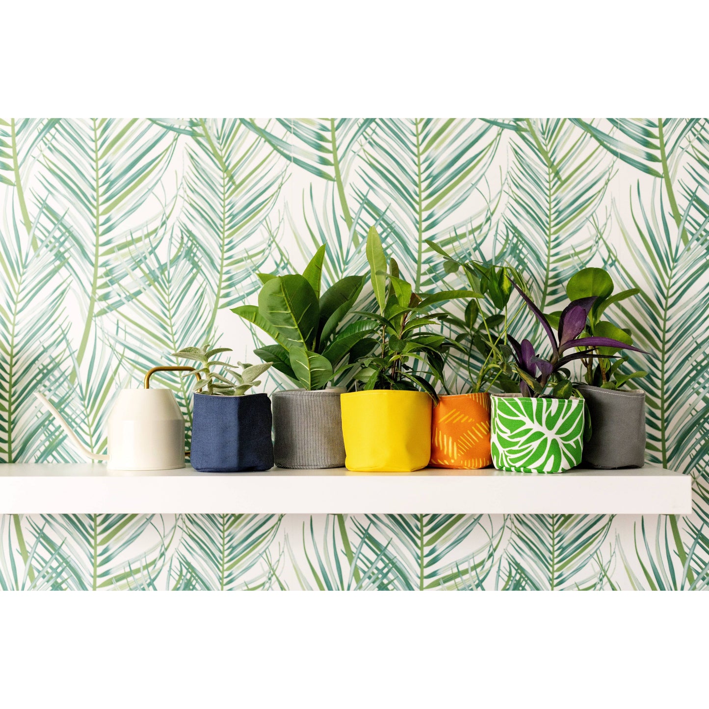 Monstera Chic