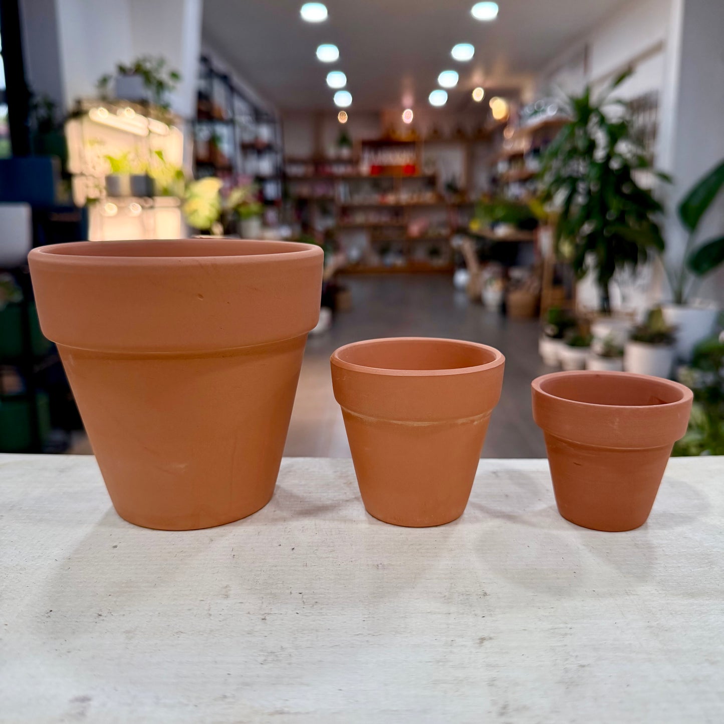 Terracotta Planter Pots