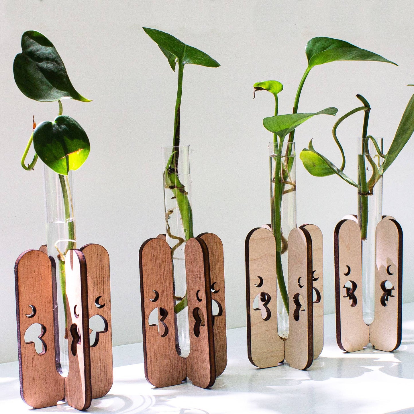 Mushroom Tabletop Propagation Station