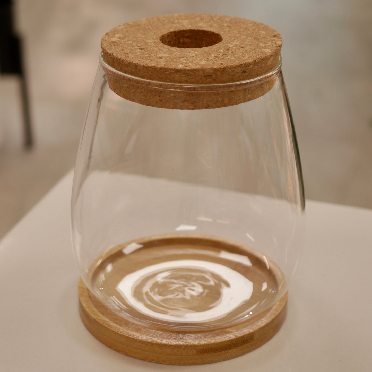 Desktop Plant Propagation Jars with Wooden Tray